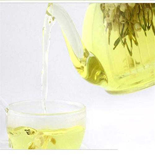 通用 50g Té de Flores Jazmín a principios de la Primavera Té de Hierbas floreciente orgánico 100% Natural - Imagen 6