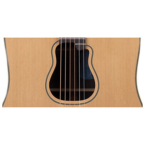 Takamine Pro Series Gb7C Garth Brooks Dreadnought, Natural With Case #TOP2