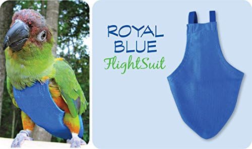 Avian Petite FlightSuit (Bird Diaper) w/Leashette Plus Flightliners (Blue)
