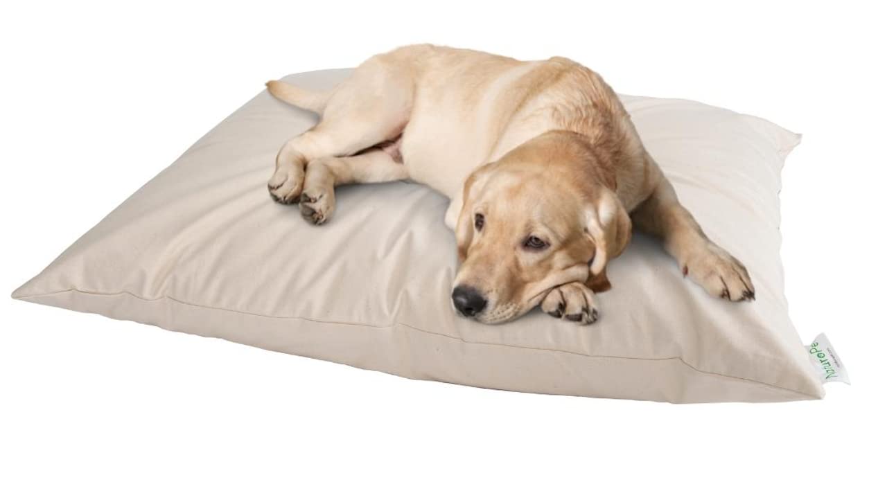 How Often Should You Wash Your Dogs Bed