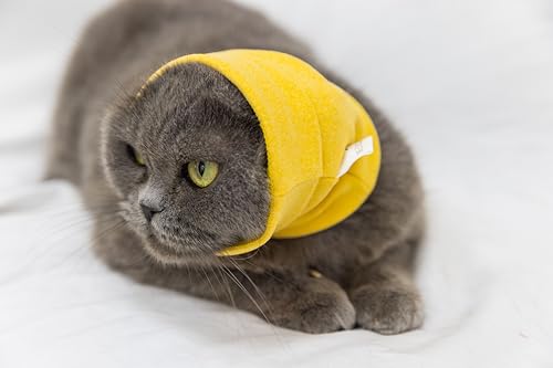 Image of Cat Snood Ear Wrap Protectors Anxiety Relief Ear Cover Hematoma Compression Yellow+Aqua Blue S