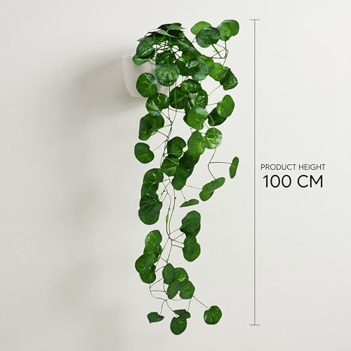 Image of Dekorly Artificial Hanging Garland with Pot - 100cm Rose Vine, 10cm Decorative Pot for Table, Shelf & Wall Decor (2, Vines-08)