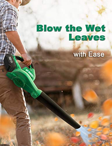 Cordless Leaf Blower - 200 CFM 150 MPH Battery-operated Blower for Blowing Leaves, Snow Debris and Dust, 20V ELectric Leaf Blower with 4.0Ah Battery and Charger for Yard, Work around the House