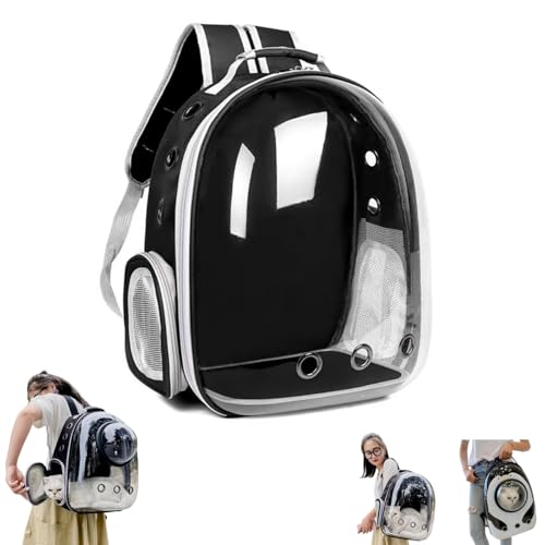 ACSJYJK LL[obO LbN LL[ bN FD JvZ y ^p hCu LsO s ʉ@ ЊQ p ω׏d OoƂ̓|[^u e V_[obO(ubNiCj)