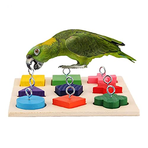NIDONE Vogel Houten Blok Speelgoed Papegaai Intelligentie Training Educatief Speelgoed Spelen Foerageringbenodigdheden… - Afbeelding 6
