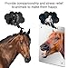 Sukh Acrylic Horse Mirror - Safe Stall Mirrors Sheet Horse Toy Hanging Pony Calming Non Glass Shatterproof Horse Toys for Stable Barn Stall Toy Entertainment (16.92 x 12.99 Inch)