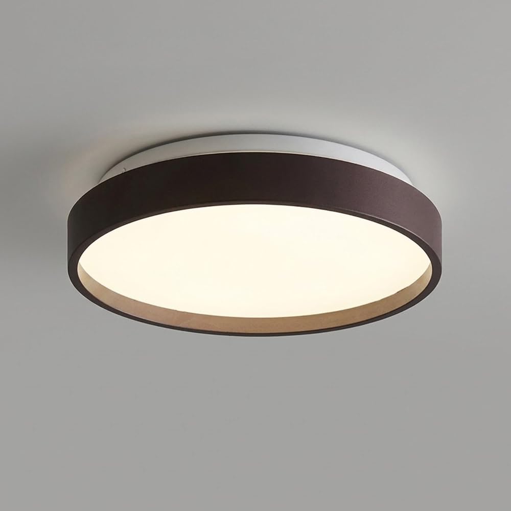 Lampy Sufitowa Okrągła LED Płaska, Plafon Nowoczesny Korytarz
