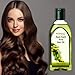Patanjali Amla Hair Oil (100 Ml)