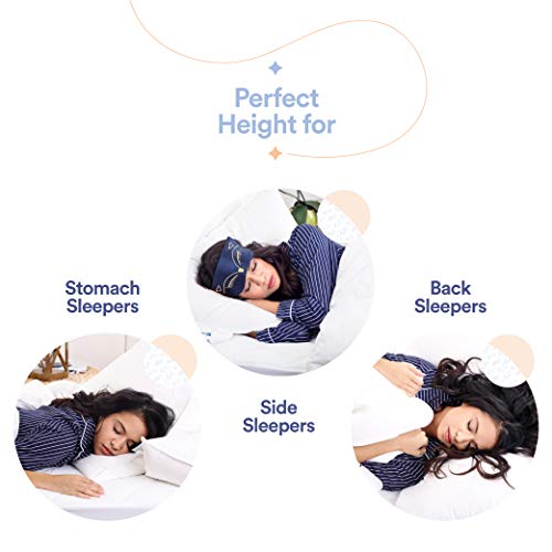 Continental Bedding Premium 100% White Goose Down Pillow. Queen Size [Soft] (Set of 2) - Thumbnail 2