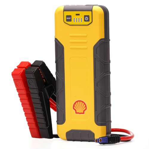 410r7Mzp6CL.jpg
