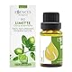 Essences Bulgaria Bio-Limette Ätherisches Öl 15ml | Citrus aurantifolia | 100% Naturrein | Unverdünnt | Therapeutischer Grad | Aromatherapie | Kosmetik | Tierversuchsfrei | Gentechnikfrei | Vegan