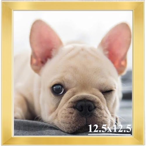 RUN HELIX 12.5x12.5 Picture Frames,Simple Designed Photo Frame,Certificate Document Frame for Horizontal and Vertical Formats,12.5x12.5 Poster Photo Frame Wall Gallery Home Office Decor,Gold