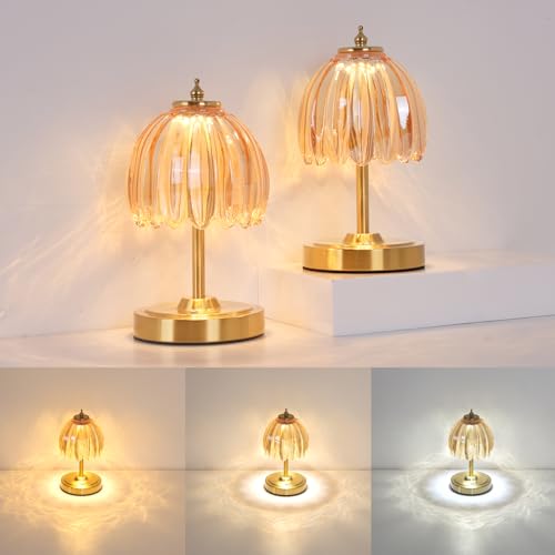 Image of Shenmoyl Set of 2 Tulip Table Lamp with 5200mAh Battery & Touch Control, Cordless Small Table Lamp with 3 Colors, Rechargeable Battery Operated Table Lamps for Nightstand, Bedroom (Amber Tulip)