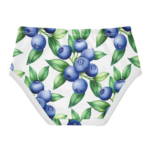 Joisal Pattern Girls Underwear Toddlers 2t Cotton Panties Little Girl Blueberries Green Leaves Briefs Undies Kids2