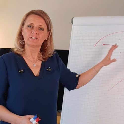 Karina Jermuss: Success is a Mindset (So is stress...) Podcast Por  arte de portada