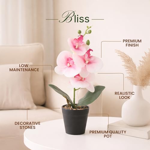Image of Habere India-All the Cultures Fabricating India Pink Moth Orchid Artificial Plant with Pot for Home Decor | Small Fake Flower Plants for Living Room & Indoor Decoration (Design01: L9 x W9 x H31 cm)