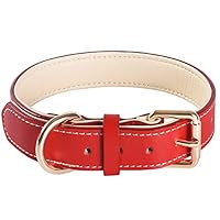 THAIN Zachte Lederen Hondenhalsband, Zware Metalen Gesp