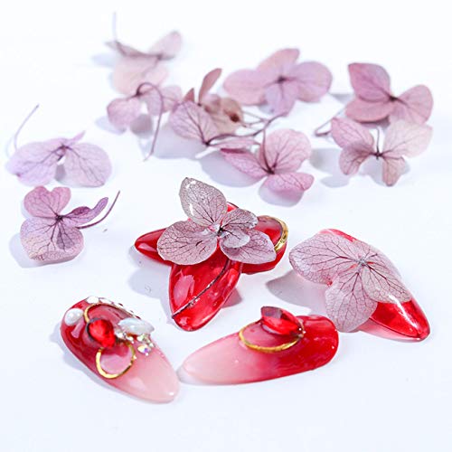 Beiling BEILING-00058 Dried Flower Nail Art Mini Natural Flowers Nail Art Decoration Accessories 3D Dry Flowers Nail Stickers thumb #2