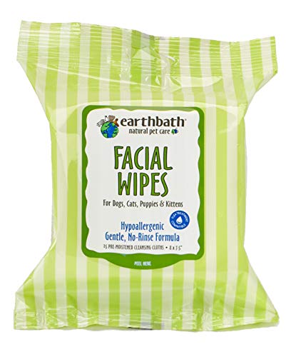 best wipes for pug wrinkles
