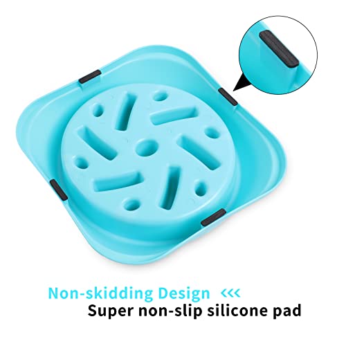 Noyal Slow Feeder Dog Bowls Puzzle Anti-Gulping Interactive Bloat Durable Preventing Choking Healthy Dogs Bowl #TOP3