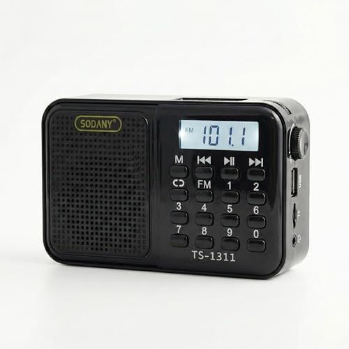 Radio Digital Portátil FM 3 en 1 con Reproductor MP3 USB y Tarjeta TF, Teclado Numérico para Sintonización Directa, Batería Recargable y Sonido Estéreo 3D Nítido (Negro)