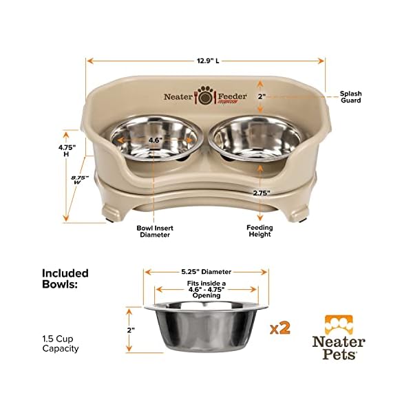 Pet Feeder for Small Dogs