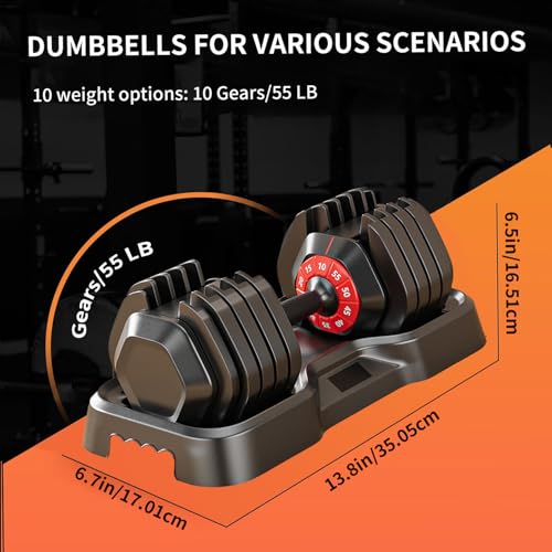 Pair of Adjustable Dumbbells 10-in-1 55 lbs Free Weight for Home Gym - Sports Fitness Equipment Women Men Training Set - Image 3