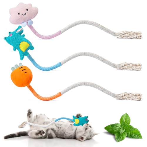Jouets interactifs pour chat d'intérieur - Corde en sisal - Jouet en corde serpent avec peluche à mâcher - Jouet de nettoyage des dents pour chat (3 pièces)