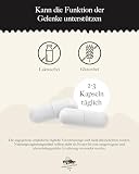 KRÄUTERHANDEL SANKT ANTON® - Grünlippmuschel Kapseln - 500 mg (90 Kapseln)