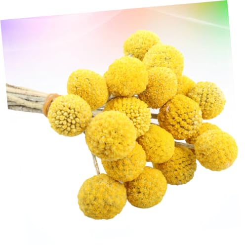 Bolsa 30 Bolas Florales Secas Amarillas Holibanna miniatura 5