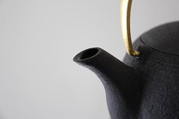 Amazon.co.jp: 菊池保寿堂 鉄瓶 急須 WAZUQU グッドデザイン賞