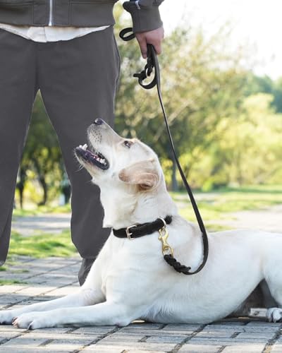Joytale Hundeleine Leder, Strapazierfähige Lederleine Für Hunde Mit Stabilem Messinghaken, Weich Und Langlebig, Geeignet Für Kleine, Mittlere Und Große Hunde(Schwarz, 180cm×2cm)