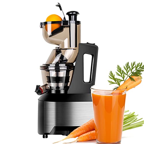 ERoomQ Cold Press Juicer Extractor Stainless Steel Vertical Juice Extractor for High Nutrient Fresh Vegetable and Fruit,Professional Slow Masticating Juicer Machine
