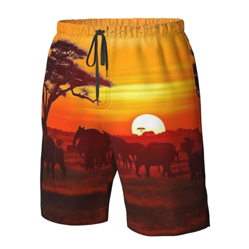 African Animal Sunset Men's Swim Trunks Quick Dry Board Shorts with Pockets Casual Drawstring Beach Shorts4