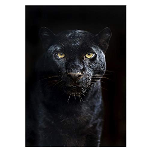 絵画　油彩画　額縁　キャンバスボード 動物　黒豹　原画 Amazon.co.jp: 絵の壁紙 大型動物の壁アートパネルアフリカの黒ヒョウ