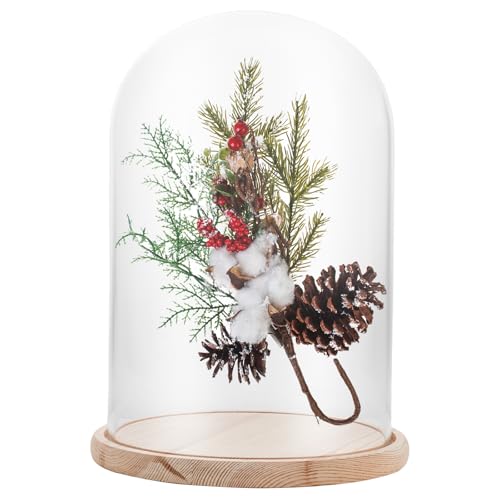 APACALI 1 campana de cristal con suelo de madera, 30 cm, campana de cristal transparente, caja de cristal, con base para luces, decoración, accesorio para el hogar