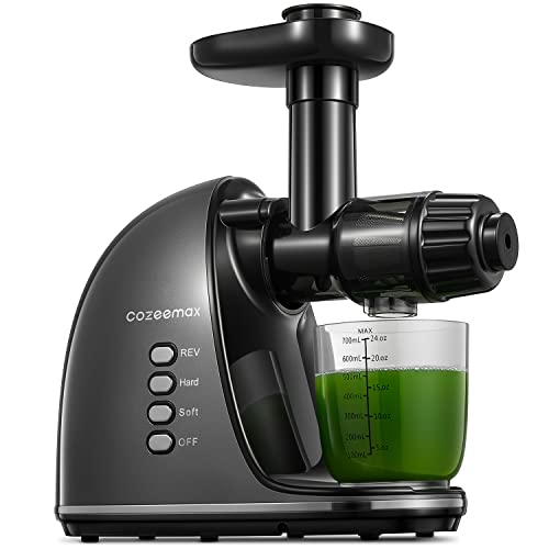 Best Masticating Juicers Canada Best Cost
