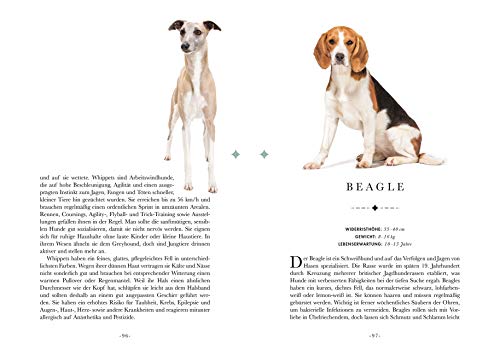 Naturelove. 50 besondere Hunde: Vom Beagle bis zum Zwergspitz. Ein Buch wird zum Kunstwerk