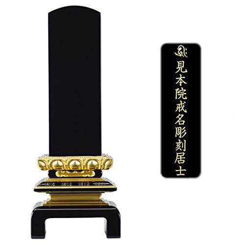 d͂₵ hʔv dC (dグ) 4.0 y ㍞ (1앪) z yZbgi d͂₵IWiNXtz