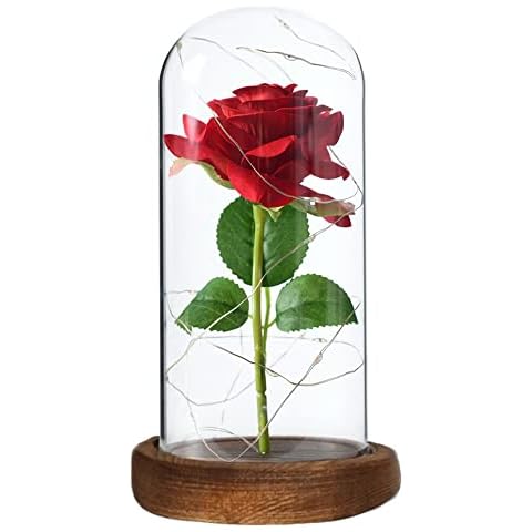 Irona Beauty and Beast Rose in Glass Dome With Warm White LED Lights Everlasting Red Rose Artificial Flowers Gift Enchanted Birthday Gift for Anniversary Wedding Valentines Girlfriend Cover
