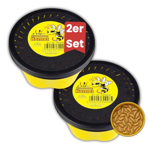 Lebende Bienenmaden 2er Set (ca. 80 STK) Premium Angelköder für Forellen & Saibling Frische aktive Ködermaden für Pose Grundblei & Sbirolino Lebendfutter