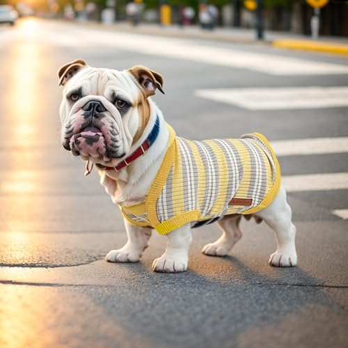 Camiseta para perro pequeño amarillo talla X-small miniatura 5
