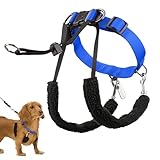 Sporn ORIGINAL TRAINING HALTER Small Blue, (10061)