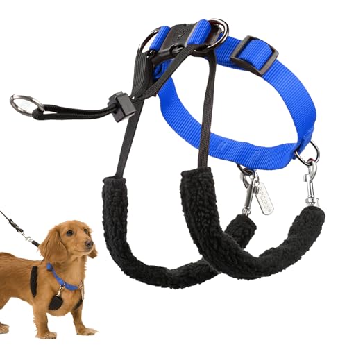 Sporn ORIGINAL TRAINING HALTER Small Blue, (10061)