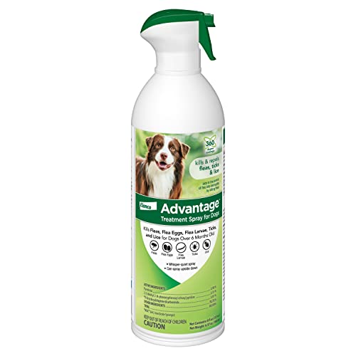 Top 10 Best Spray For Dog Fleas Reviews & Buying Guide Katynel