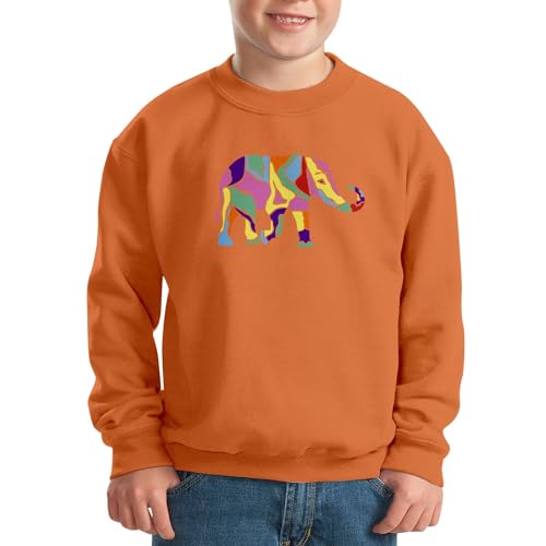 Sweatshirt enfant éléphant multicolore pour éveiller son imagination - 2