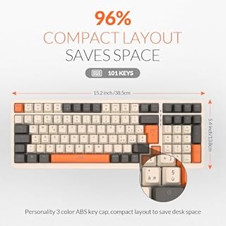 Rii Gaming RK909 - Tastiera meccanica silenziosa con tripla connessione (Wireless + Bluetooth + USB), batteria ricaricabile, retroilluminazione RGB, anti-ghosting, tasti smontabili, cover magnetica