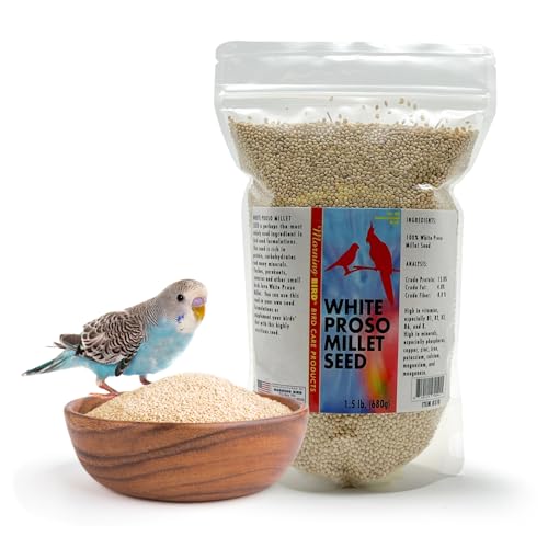Morning Bird White Proso Millet 1.5 lbs Unhulled Natural Bird Seed Supports Feather Growth & Balanced Nutrition High Energy Delicious Seed - Ideal for Finches Parakeets & Pet Birds