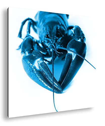 deyoli schwedische rote Krebse Format: 40x40 Effekt: Monocrome Blau als Leinwandbild, Motiv fertig gerahmt auf Echtholzrahmen, Hochwertiger Digitaldruck mit Rahmen