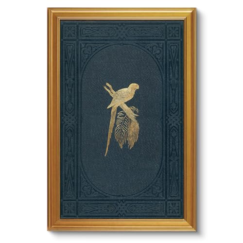Image of VIYYIEA Vintage Gold Framed Wall Art for Living Room, Macaw Canvas Prints Home Decor, Large Oil Painting Picture, Bedroom Wall Decor Gifts for Friends or Family -【Macaw】-(36L x 24W)